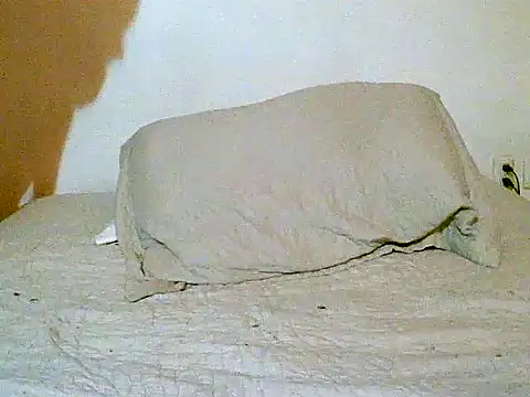 pollarikaaa online show from December 14, 12:05 am