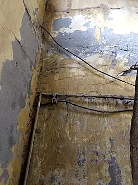 ListedLoin online show from February 13, 8:32 am