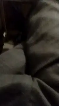 Snapshot of myhot1551 chatting on February 15, 4:25 am myhot1551 online show from February 15, 4:25 am