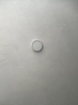 Salome golvert online show from September 16, 3:35 pm