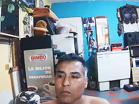 DiAntool online show from January 19, 4:16 am