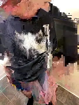 Snapshot of Chuckie_999 chatting on December 17, 9:21 pm Chuckie 999 online show from December 17, 9:21 pm