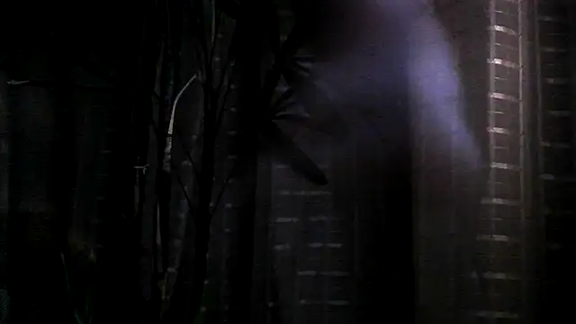 funguybr36 online show from September 19, 11:00 am