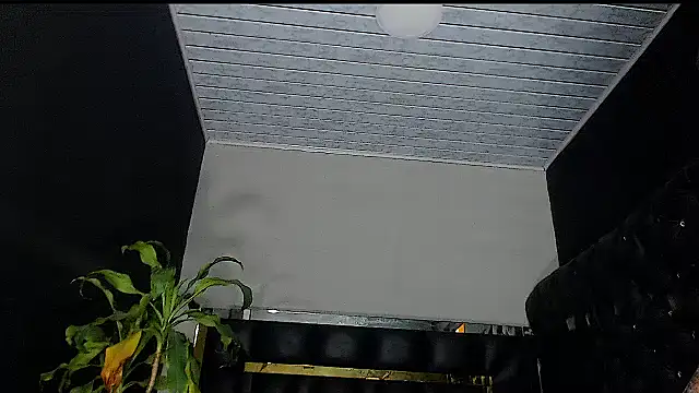 Kitie Petarda online show from October 19, 9:59 pm