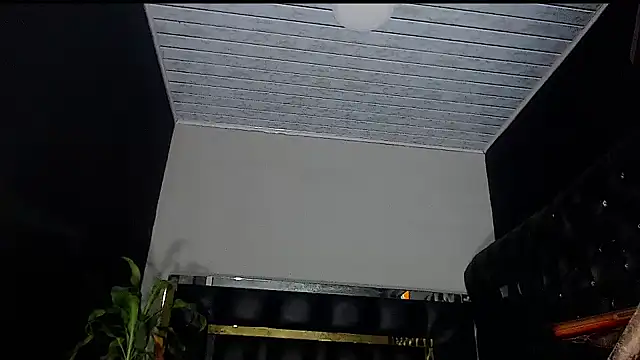 Kitie Petarda online show from October 23, 8:46 am