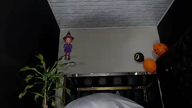 Kitie Petarda online show from November 23, 12:43 am