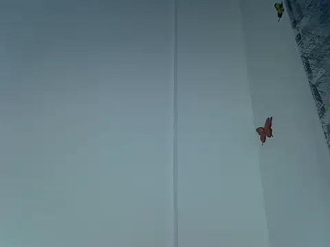 Snapshot of laetitia_ chatting on September 29, 10:47 pm laetitia online show from September 29, 10:47 pm