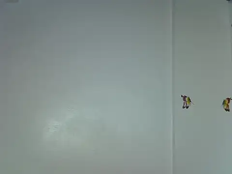 Snapshot of laetitia_ chatting on January 15, 10:35 pm laetitia online show from January 15, 10:35 pm