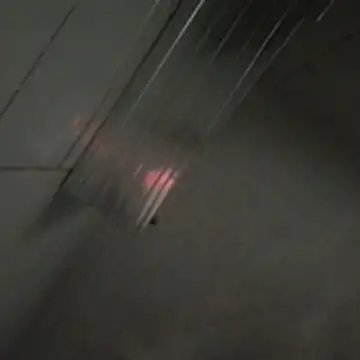 gressw22 online show from April 4, 11:29 am