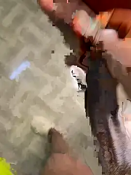 Bigcock 254 online show from May 6, 8:36 pm