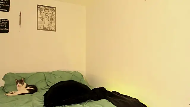 Teo skinny online show from September 13, 2:50 pm