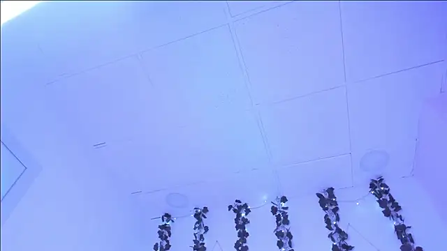 SophieHill gh online show from January 16, 1:27 am