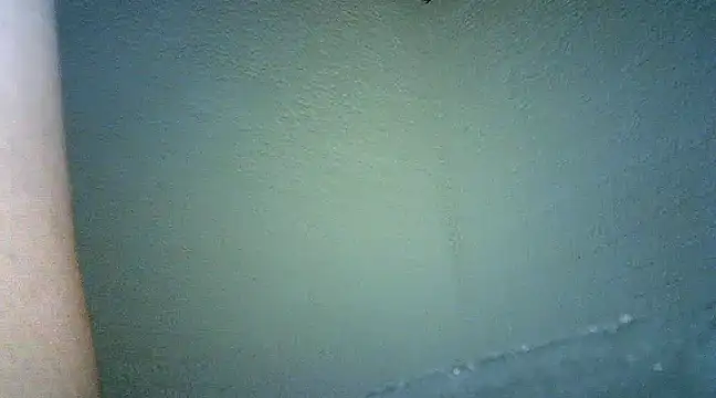 Bellabeltrann online show from January 25, 9:47 am