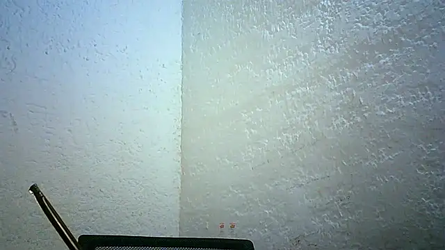 Bellabeltrann online show from November 30, 11:42 pm