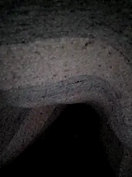 Janle 19c online show from December 26, 3:27 am