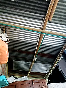 Janle 19c online show from September 14, 8:08 pm