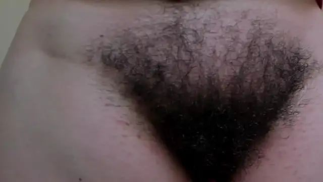 Im coco online show from December 14, 2:31 pm