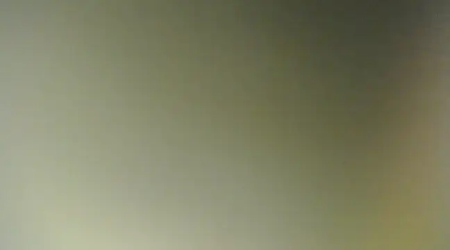 Snapshot of Lovensetest chatting on March 11, 11:55 am Lovensetest online show from March 11, 11:55 am