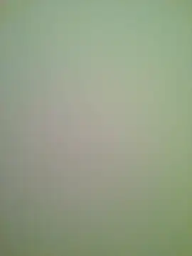 Snapshot of Lovensetest chatting on February 13, 1:01 am Lovensetest online show from February 13, 1:01 am