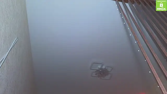 Katy perry  online show from November 27, 3:52 am