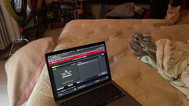 Snapshot of kameray12 chatting on November 8, 4:56 am kameray12 online show from November 8, 4:56 am