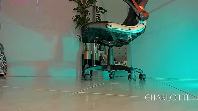 charlotte  grey online show from November 20, 8:41 pm