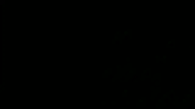 SensualJane2 online show from January 5, 6:13 am