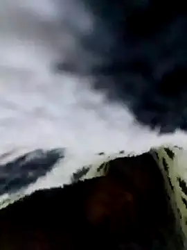 LemonyArcus online show from November 24, 3:06 am