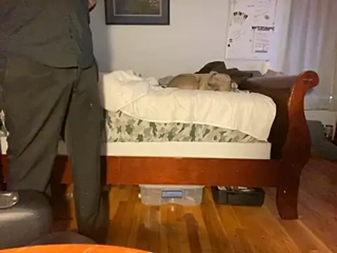 Snapshot of flexingplexico chatting on January 14, 1:06 pm flexingplexico online show from January 14, 1:06 pm