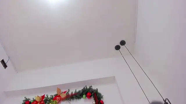 Snapshot of penelope_handaos chatting on December 13, 9:46 am penelope handaos online show from December 13, 9:46 am