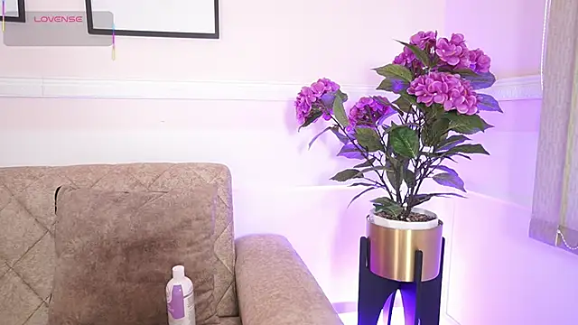 Anybuny online show from December 18, 12:11 pm