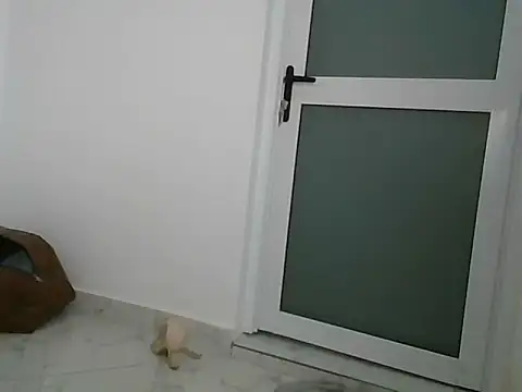 Snapshot of lugari chatting on December 21, 10:19 pm lugari online show from December 21, 10:19 pm