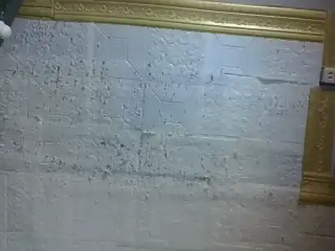 hairywetjhing online show from July 12, 4:20 pm