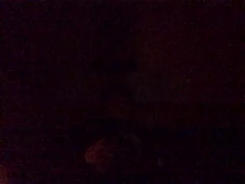 Snapshot of DragonPink chatting on December 24, 12:11 am DragonPink online show from December 24, 12:11 am