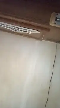 Dllarge online show from October 15, 3:50 am