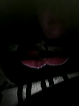 Off the Lesh online show from November 26, 3:35 pm