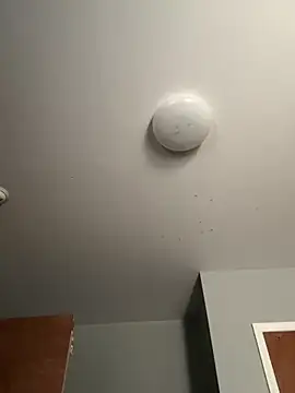 LunaWolfie143 online show from December 22, 3:53 pm