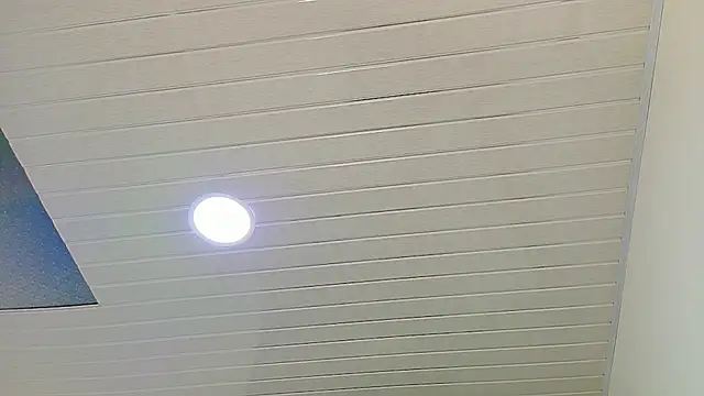 scarlet-jonesx online show from January 10, 1:51 am