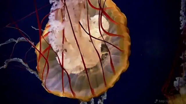 Snapshot of streamy_test12 chatting on November 18, 3:27 pm streamy test12 online show from November 18, 3:27 pm