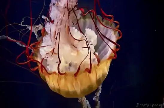 Snapshot of streamy_test15 chatting on February 3, 8:13 am streamy test15 online show from February 3, 8:13 am