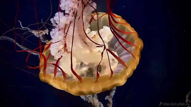 Snapshot of streamy_test15 chatting on September 18, 12:18 pm streamy test15 online show from September 18, 12:18 pm