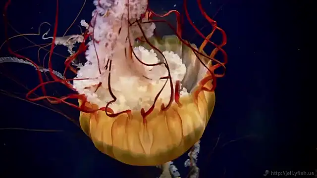 Snapshot of streamy_test15 chatting on November 27, 3:14 pm streamy test15 online show from November 27, 3:14 pm