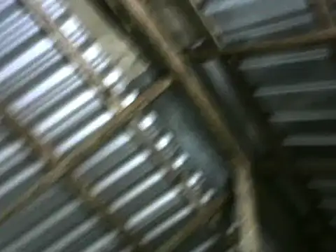 Snapshot of michel_sc chatting on October 5, 10:24 am michel sc online show from October 5, 10:24 am