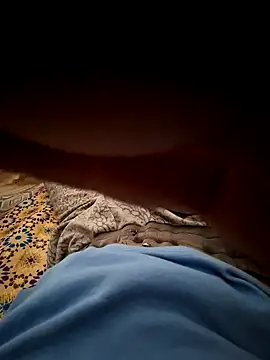 Snapshot of mehdi_haway chatting on October 31, 3:02 pm mehdi haway online show from October 31, 3:02 pm