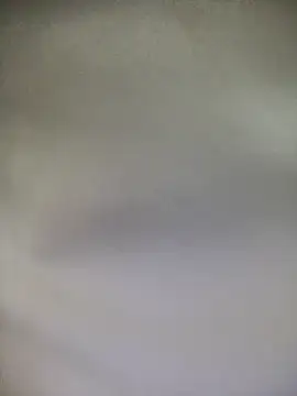 Snapshot of Leonul chatting on October 12, 5:39 am Leonul online show from October 12, 5:39 am