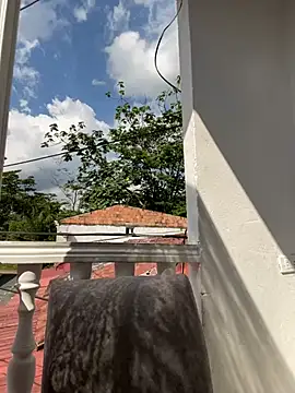 Snapshot of Pretty_Isadora chatting on January 16, 7:31 pm Pretty Isadora online show from January 16, 7:31 pm