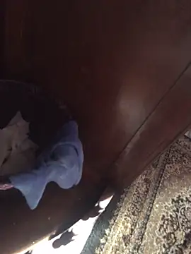 TangoingSorbet online show from November 2, 10:17 am