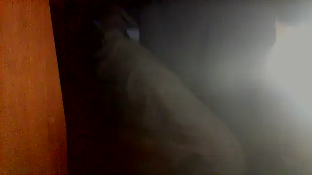 Snapshot of nice6incs chatting on November 5, 11:05 pm nice6incs online show from November 5, 11:05 pm