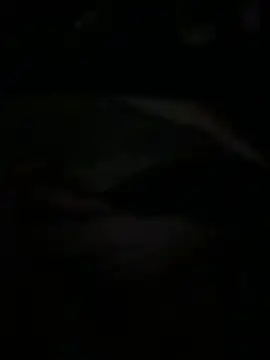 Snapshot of Ariel_Ari chatting on February 1, 3:05 am Ariel Ari online show from February 1, 3:05 am