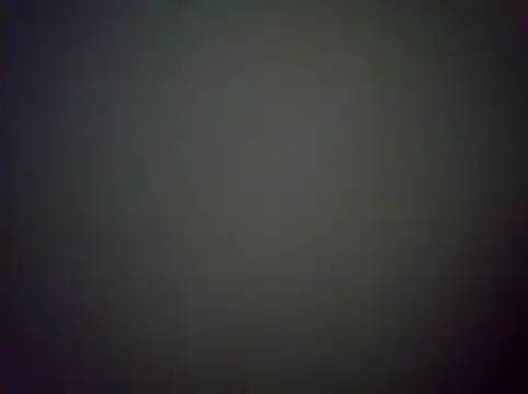 XHumbleD online show from February 12, 11:38 am